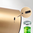 Abajur Cogumelo Luminária de Mesa Metal Recarregável Mushroom