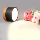 Lustre Plafon Bordini