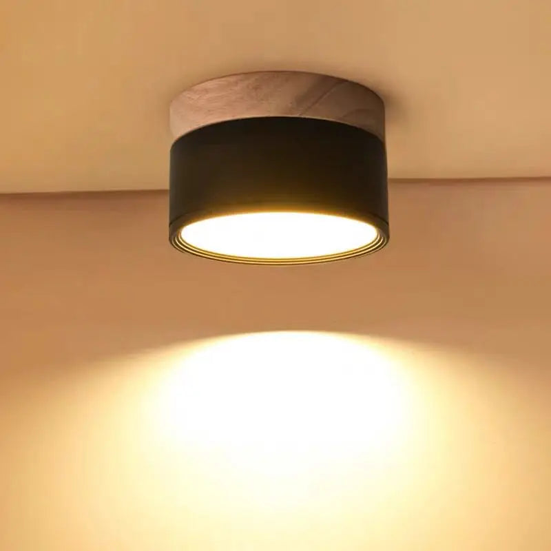 Lustre Plafon Bordini