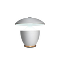 Abajur Pequena Luz Luminária de Mesa Recarregável