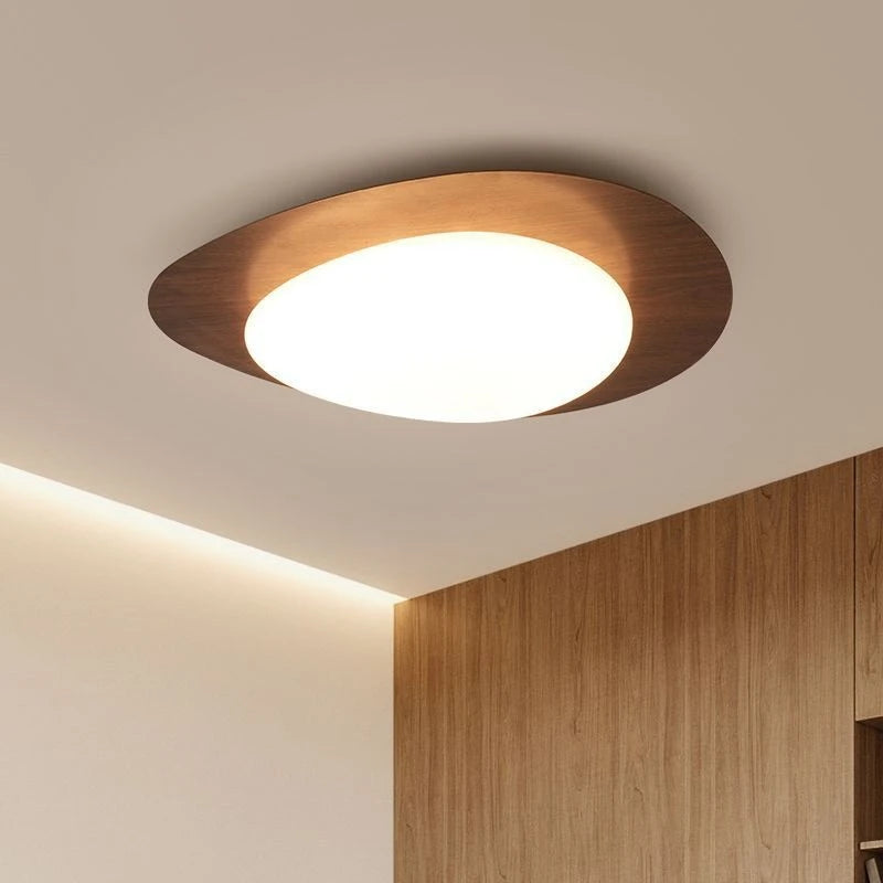 Lustre Plafon Orgânico Ovalis