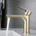 Torneira Para Banheiro e Lavabo Monocomando Savoy
